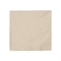 Cotton Bandana Thumbnail