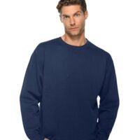 Unisex Premium Crewneck Sweatshirt Thumbnail