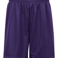 BDG ADT 9 MINI MESH SHORT Thumbnail