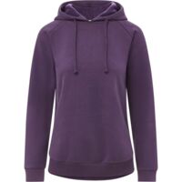Women's Vintage Fleece Hooded Sweatshirt Thumbnail